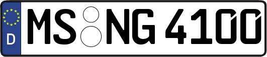 MS-NG4100