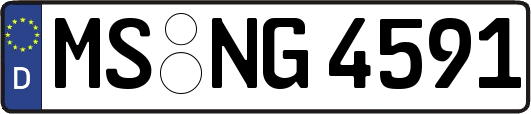 MS-NG4591