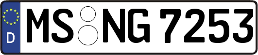 MS-NG7253