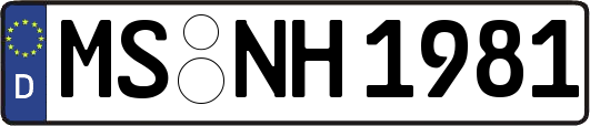 MS-NH1981