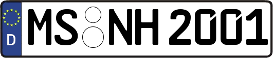 MS-NH2001