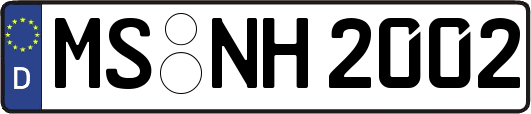 MS-NH2002
