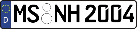 MS-NH2004