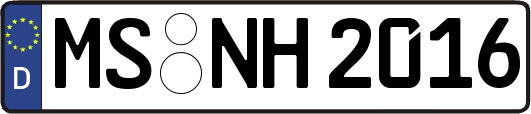 MS-NH2016