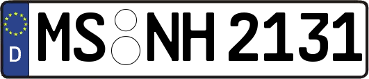 MS-NH2131