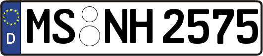 MS-NH2575