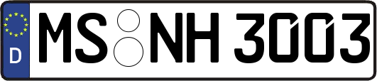 MS-NH3003