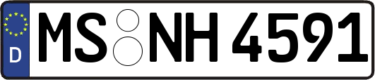 MS-NH4591