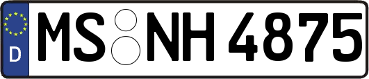 MS-NH4875