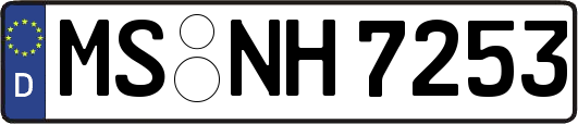 MS-NH7253
