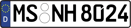 MS-NH8024