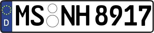 MS-NH8917