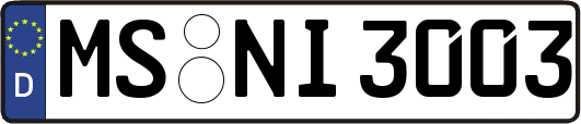 MS-NI3003