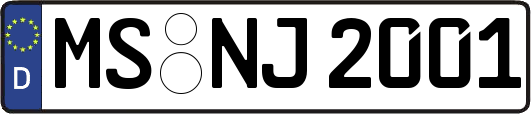 MS-NJ2001