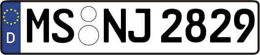 MS-NJ2829