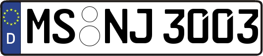 MS-NJ3003