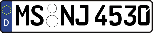 MS-NJ4530