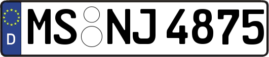 MS-NJ4875