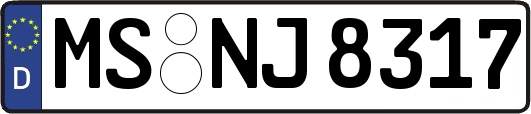 MS-NJ8317