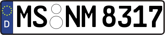 MS-NM8317