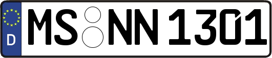 MS-NN1301