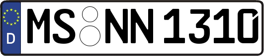 MS-NN1310