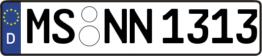 MS-NN1313