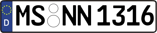 MS-NN1316