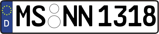 MS-NN1318