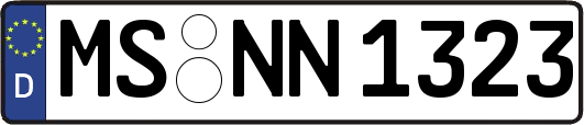 MS-NN1323