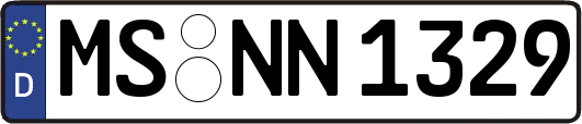 MS-NN1329