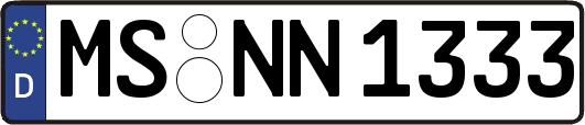 MS-NN1333