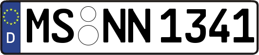 MS-NN1341
