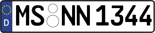 MS-NN1344