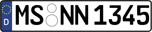MS-NN1345