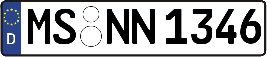 MS-NN1346