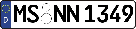 MS-NN1349
