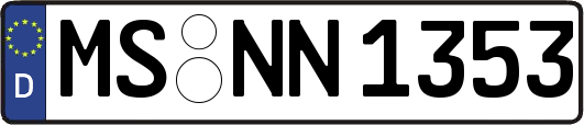 MS-NN1353