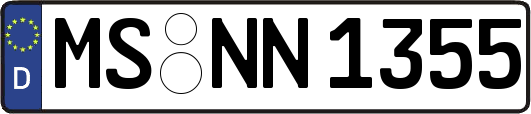 MS-NN1355