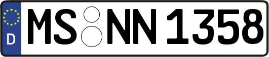 MS-NN1358