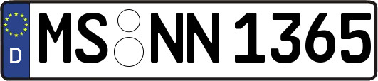 MS-NN1365