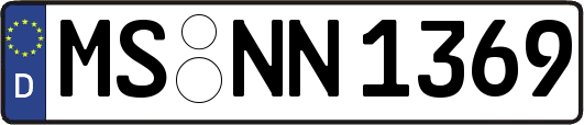 MS-NN1369