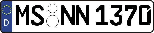 MS-NN1370