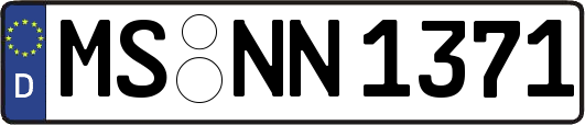 MS-NN1371