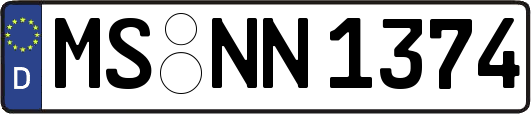 MS-NN1374