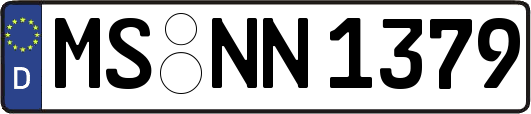 MS-NN1379