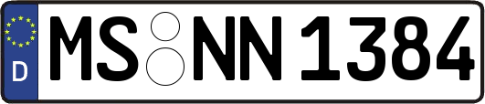 MS-NN1384