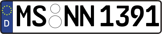 MS-NN1391