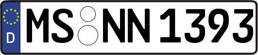 MS-NN1393