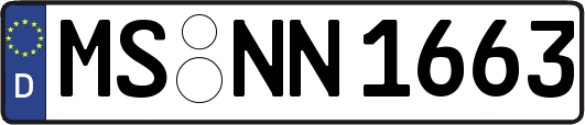 MS-NN1663